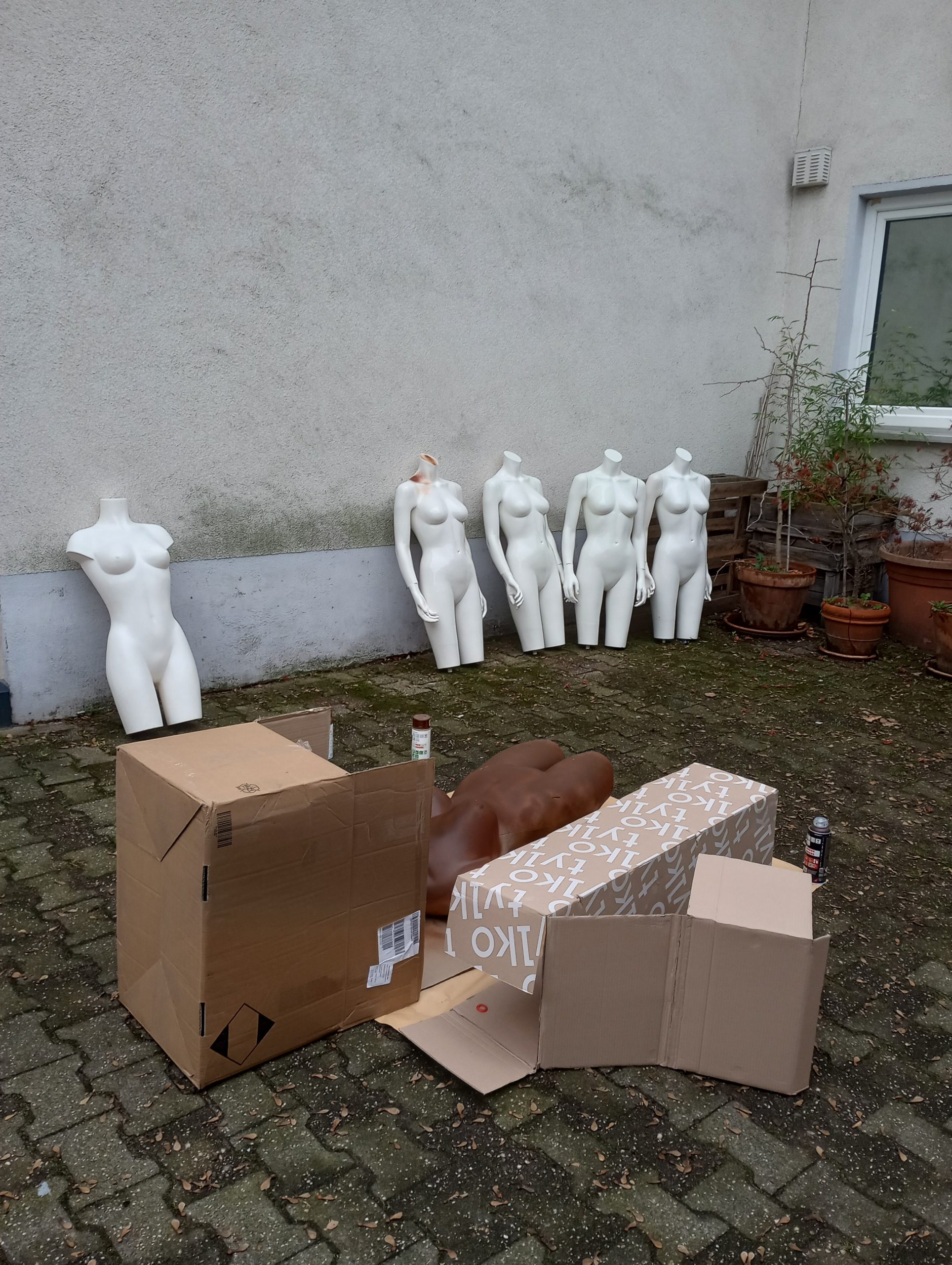 IMG_20230105_154802749_HDR